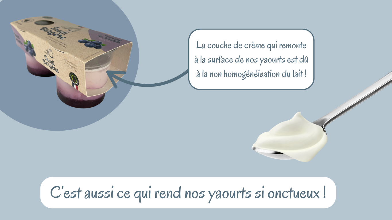 Site internet Modif Gwen (1)